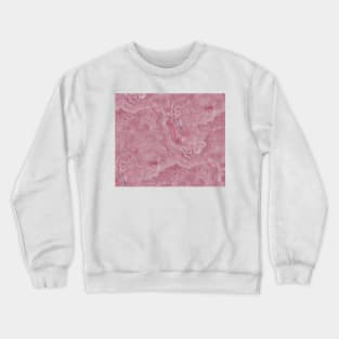 Chiara Rosa Crewneck Sweatshirt